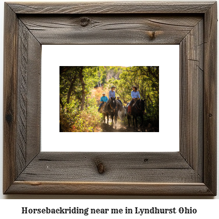 horseback riding near me in Lyndhurst, Ohio